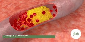 Omega 3 y Colesterol
