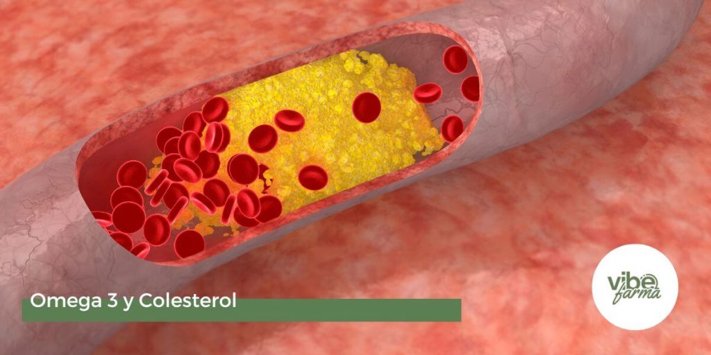 Omega 3 y Colesterol